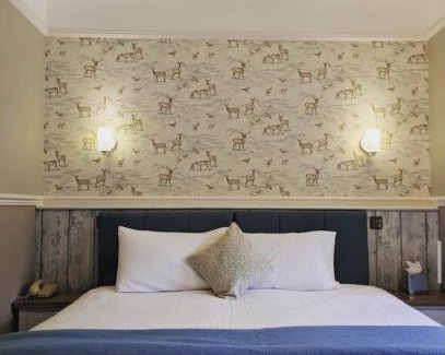 New Forest District Hotel | Ormonde House Hotel