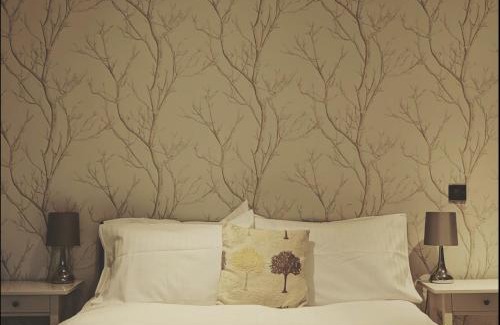 New Forest District Hotel | Ormonde House Hotel