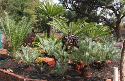 Mokopane Bed & Breakfast | Oryx B&B Reserved Guests Only