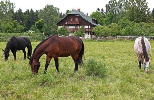 Mirsk House | Osada Jeździecka Bata