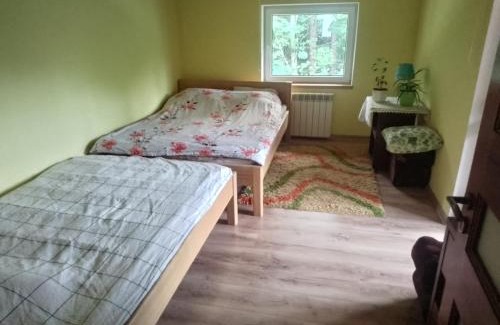 Plaska House | Osada leśna