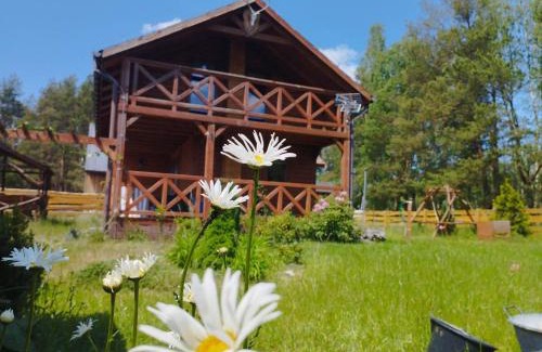 Cekcyn House | Osada nad żurawim stawem
