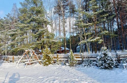 Cekcyn House | Osada nad żurawim stawem