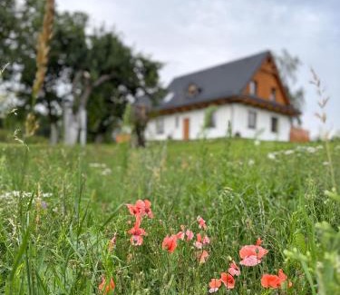 Gniew House | Osada Rzym