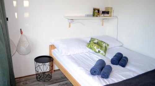 Zloty Stok House | Osada Solasu