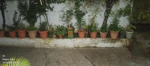 Nagpur House | Oscar Homestay