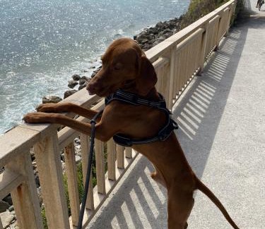 Leichlingen Apartment | Oslo: Messe-/Business-/Ferienwohnung