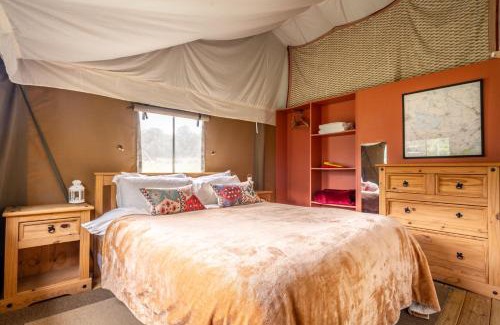 Exton House | Osprey - Exton Park