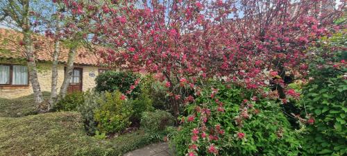 Exelby Apartment | Osprey Meadow Holiday Cottages