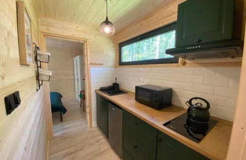 Dzwierzuty House | Ostoja Orżyny, Dom nr 2 - Zielono mi