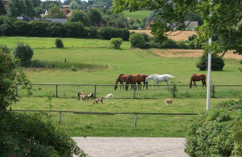 Langballigholz House | Ostseehof