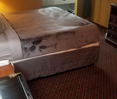 Stillwater Apartment | osu 2 Queen Beds Hotel Room 211 Booking