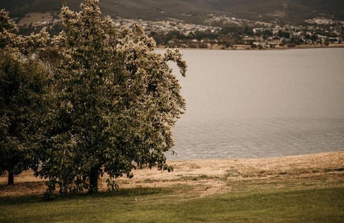 Otago Bed & Breakfast | Otago Cottage