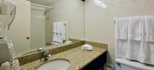 Golden Triangle Hotel | Ottawa Embassy Hotel & Suites