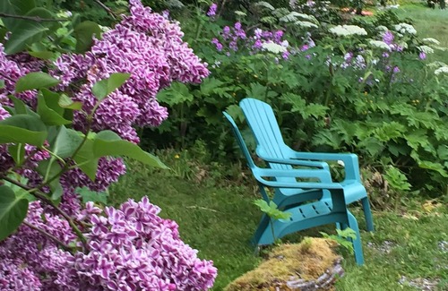 Juneau Apartment | Otter's Hideaway: Serene Getaway In Juneau, Alaska