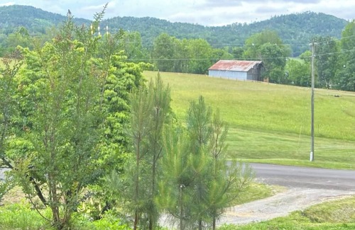 Wears Valley Cabin | Our cozy cabin has a spacious yard. Great for families!