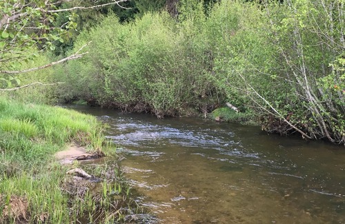 Clarkia Cabin | Our family friendly piece of paradise has everything to offer the outdoorsman.
