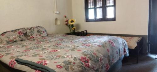 Koynanagar House | OUR FARM Agro-Eco Tourism and Farm Stay