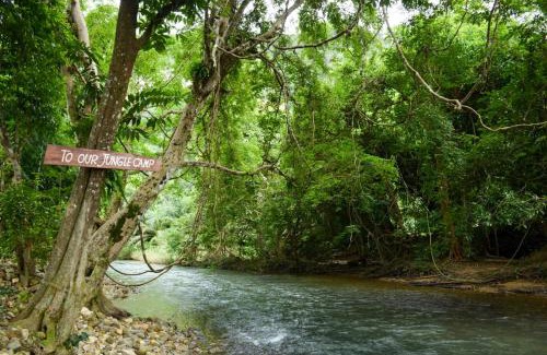 Khlong Sok Resort | Our Jungle Camp - Eco Resort