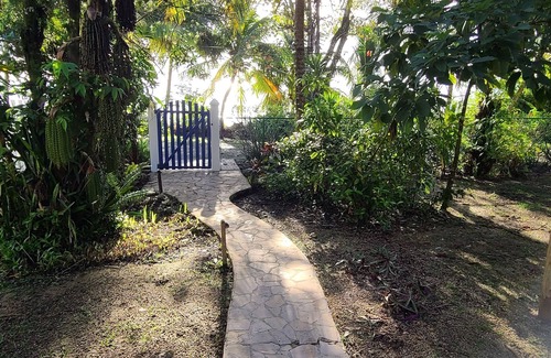 Forest Home Apartment | Our Sea of Blue Suite faces the Caribbean and awaits you
