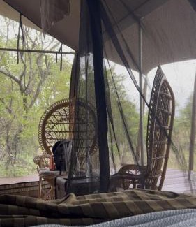 Hammanskraal Resort | Out in Africa Wildlife Lodge