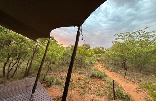 Hammanskraal Resort | Out in Africa Wildlife Lodge