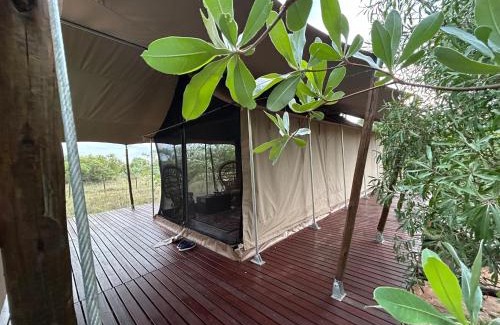 Hammanskraal Resort | Out in Africa Wildlife Lodge