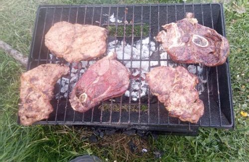 Velgast Other | outerbanks cut