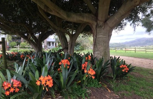 Hartenbos House | Outside Mossel Bay you will find Montrose Farm with the freshest air imaginable.