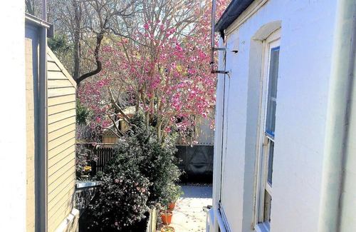 Newtown House | Outstanding Grand Newtown Inner Sydney Home. Four Bedroom,Two Bathroom, Parking