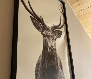 Odernheim am Glan Apartment | Overkamps - das Ferienhaus