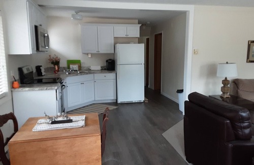 Rapid City Cottage | Overlooking Torch Lake sandbar