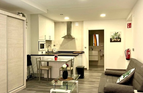 Oviedo City Centre Apartment | Oviedo Center (Estudio1 Rosal) One minute from City Hall!