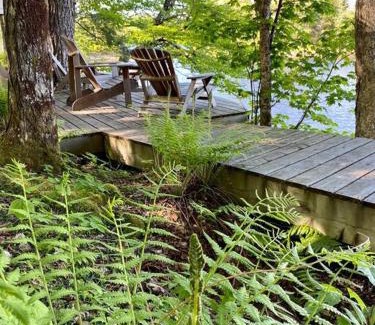 Kemptville House | Owl Cabin - Forest Retreat nearby Lake - not on waterfront