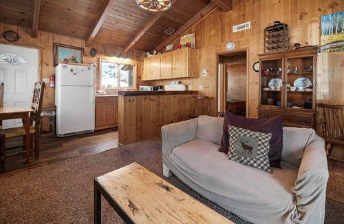 Fawnskin House | Owl Cabin - Sierra style cabin located on a quiet road in Fawnskin and backs up to National Forest!