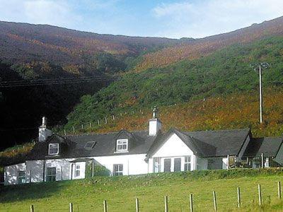 Helmsdale House | Owl Cottage