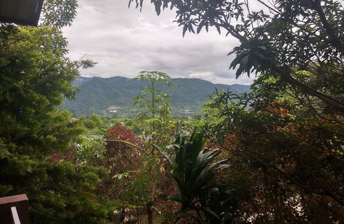 Bigha House | Oxygen Home Stay in Dehradun