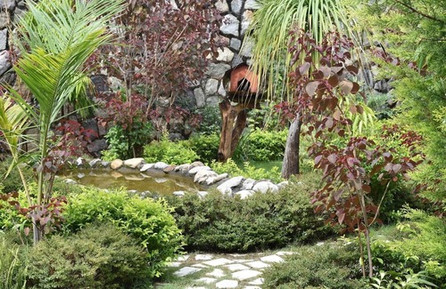 Bigha House | Oxygen Home Stay in Dehradun