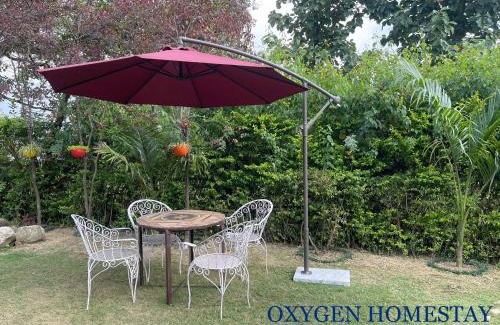 Bigha House | Oxygen Homestay-A Blissful Retreat