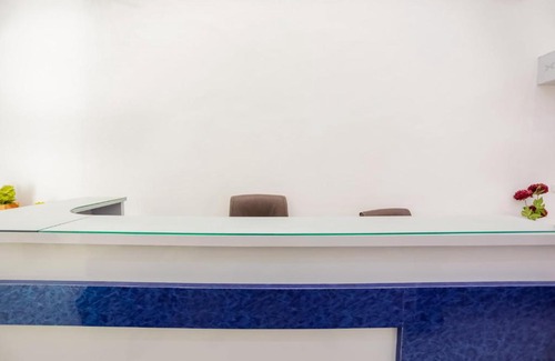 Sector-12A Hotel | OYO 63988 Hotel Dolphin