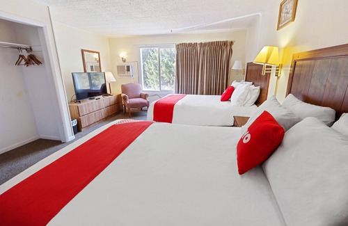 Delhi Hotel | OYO Hotel Buena Vista Delhi