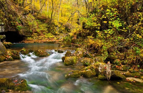 Teresita Other | Ozark Getaway! With Free Parking, Outdoor Saltwater Pool