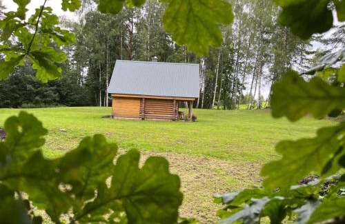 Cervonka House | Ozolsala