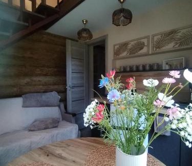 Cervonka House | Ozolsala