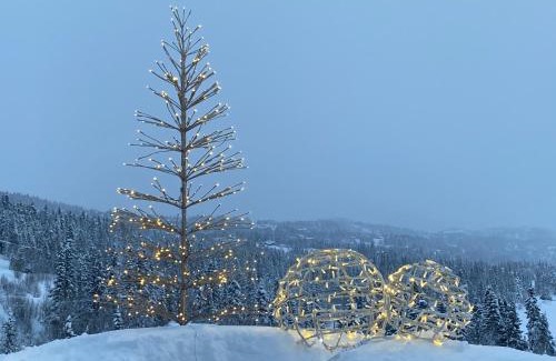 Atra House | På solsiden av Gaustatoppen