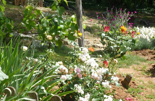 Carsac-Aillac Bed & Breakfast | Périgord Noir: peace, nature, picnics – close to Sarlat