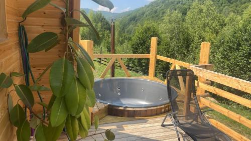 Paltin Ski Chalet | Păltinel