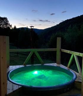 Paltin Ski Chalet | Păltinel