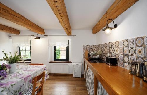 Zloty Stok House | Płonica 1