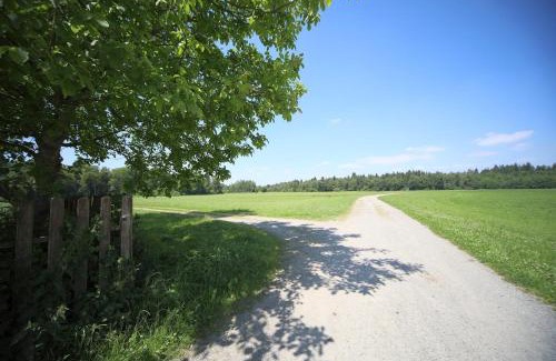 Bad Waldsee Apartment | P-Hosting Kitten Manor